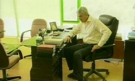 Ветка маслин 26 серия