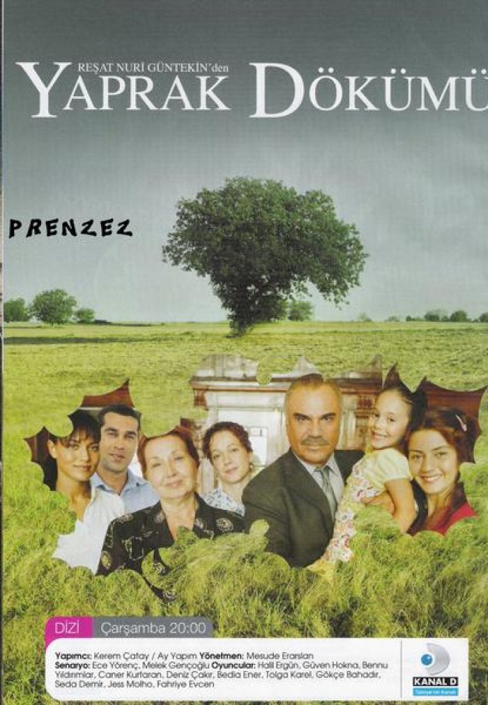 Листопад 2006. Турецкий сериал Стамбульский доктор. Где живет Надежда сериал. За стеклом фильм турецкий сериал мама. Сериал мама Жултк воспитывает детей.